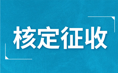 江西大額個體戶核定征收標(biāo)準(zhǔn)，2024年最新政策
